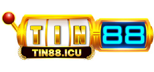 TIN88