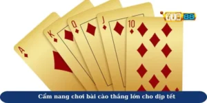 bài cào