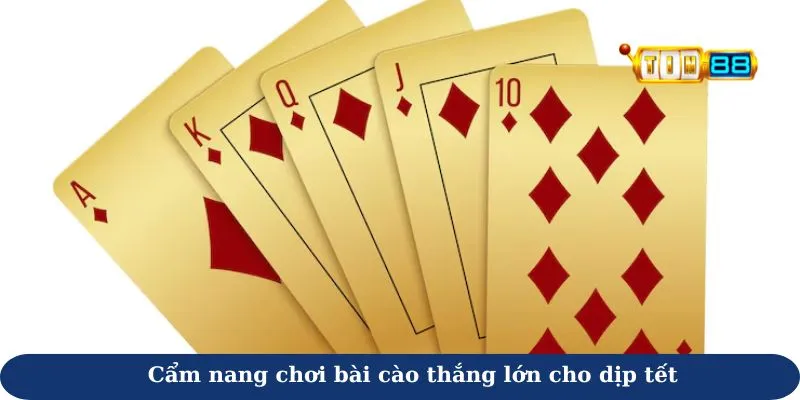 bài cào