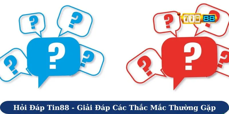 Hỏi đáp Tin88 - Giải đáp các thắc mắc thường gặp