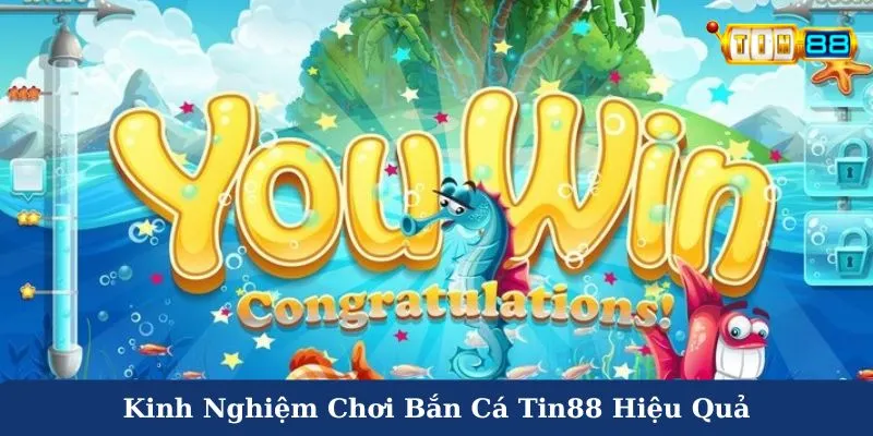 Kinh nghiệm chơi bắn cá Tin88 hiệu quả tại nhà cái online
